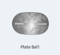 PLATE BAFL