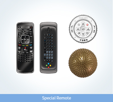 Special Remote