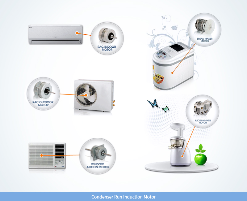 Condenser Run Induction Motor